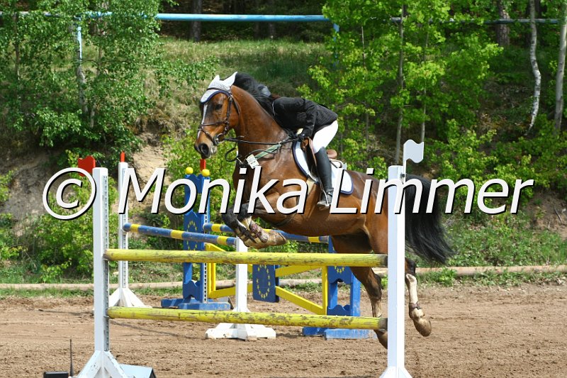 104M3362_Almes Boy_Punkte L.JPG